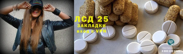 мет Гатчина