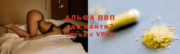 PSILOCYBIN Гвардейск