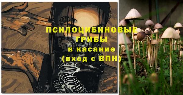 эйфоретик Абаза