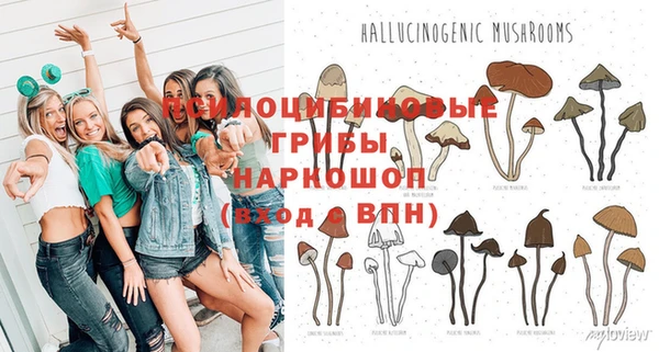 твердый Абдулино
