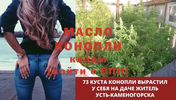 первитин Абинск